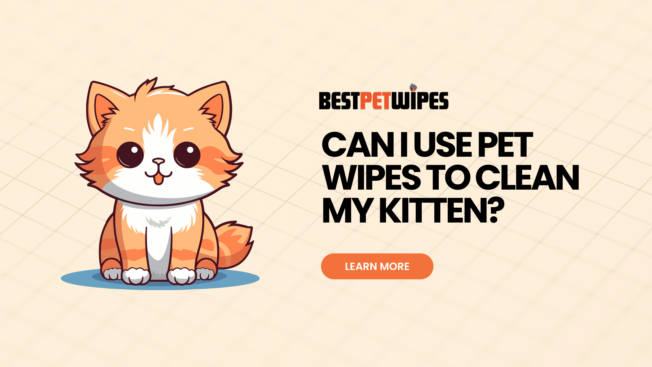 Can I Use Pet Wipes to Clean My Kitten?