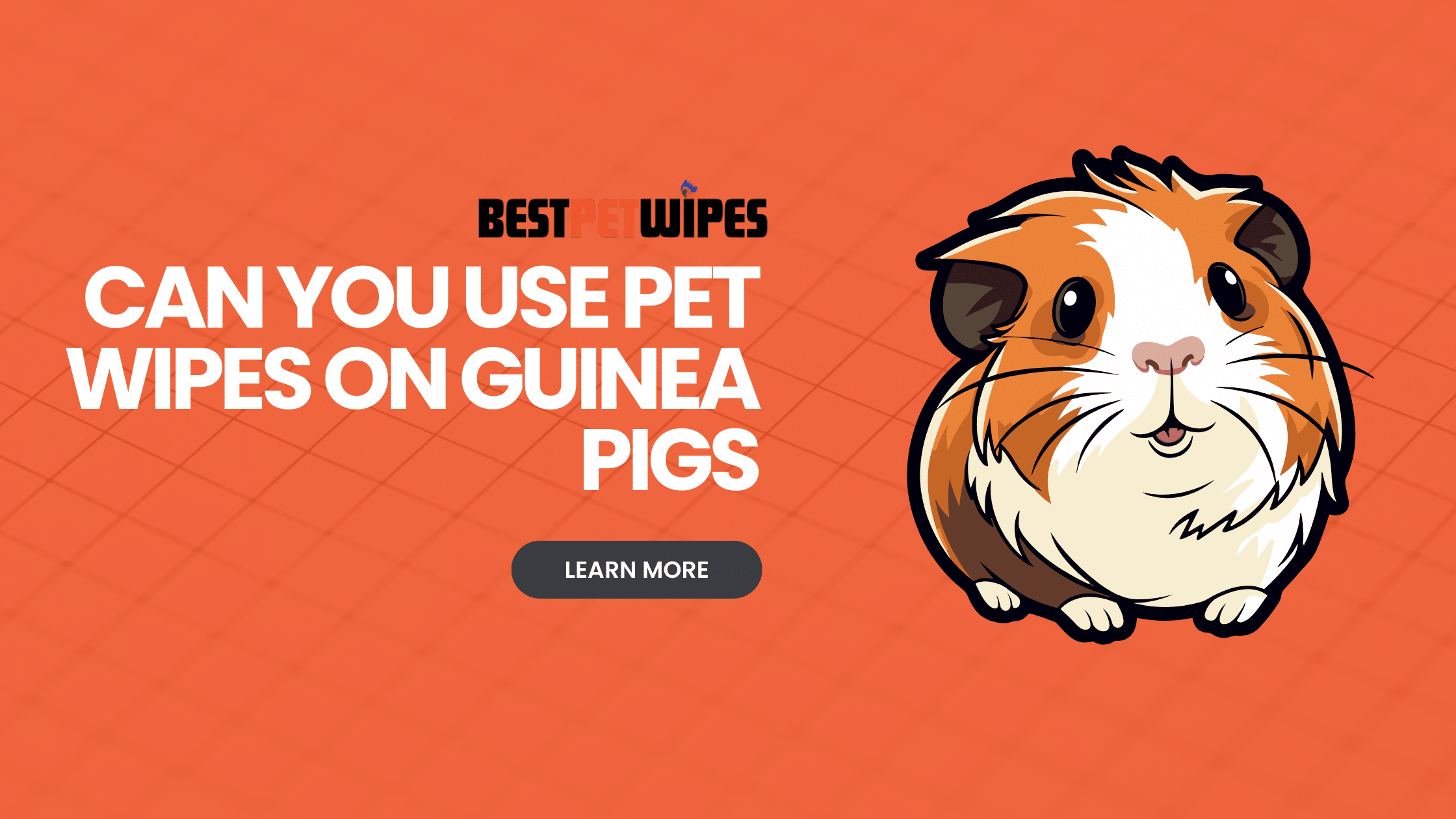 Can You Use Pet Wipes on Guinea Pigs